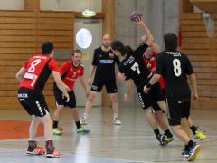 2017 01 21 TVB IV gg HC Vikings Liestal II  48  min