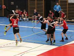 2019 02 02 HC Vikings Liestal II vs TVB  82 