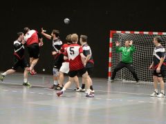 2019 02 21 TVB vs HC Vikings  33 