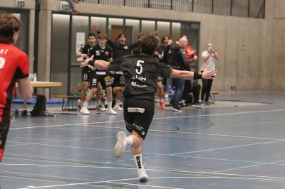 NLB: TVB-Yellow/Pfadi