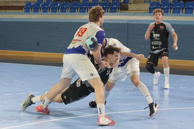 2q3a7654